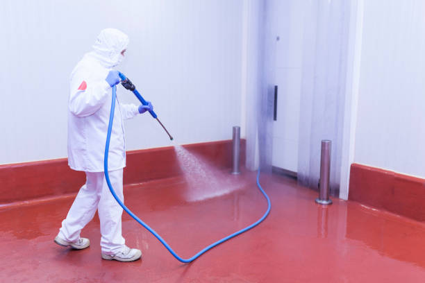 Best Post-Construction Pressure Washing  in Hampton, IL