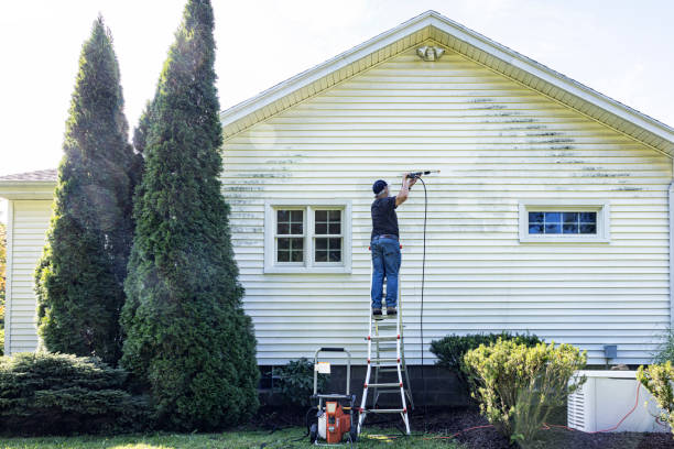 Solar Panel Cleaning in Hampton, IL